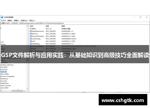 GSP文件解析与应用实践：从基础知识到高级技巧全面解读